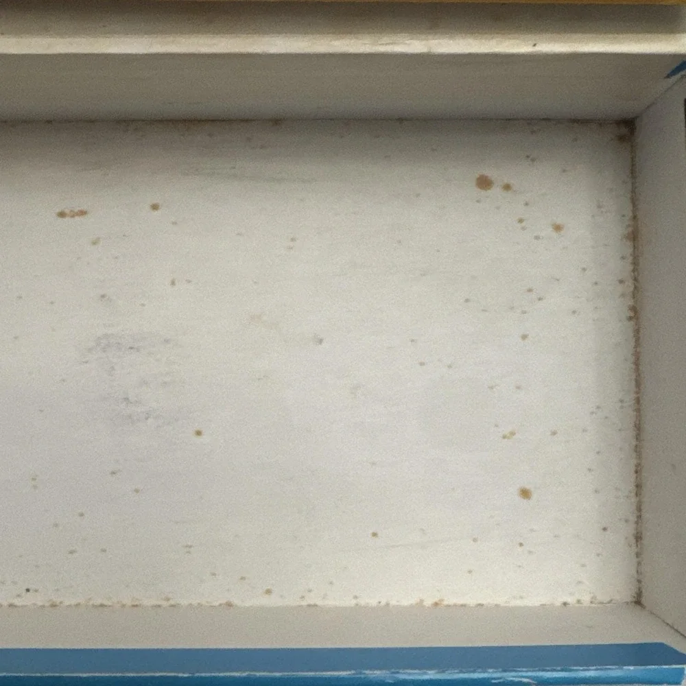 Vintage 1997 Looney Tunes Sylvester & Tweety Bird Cardboard Pencil Box Case-Used